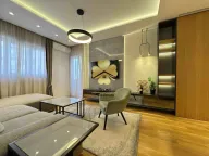 Izdavanje, jednosoban stan, 50m², Central Point, Podgorica - image 2