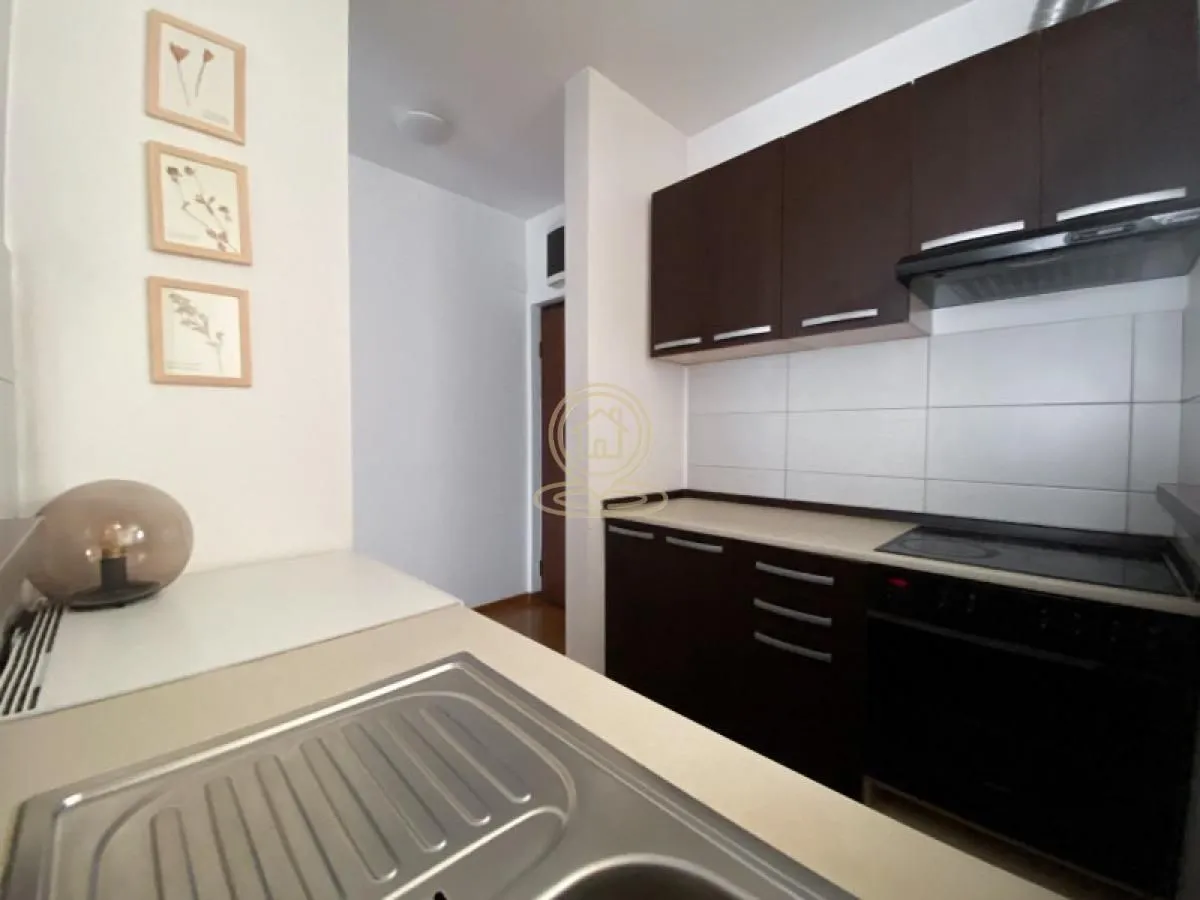 Izdavanje, dvosoban stan, 44m², Vračar Sve Podlokacije, Beograd