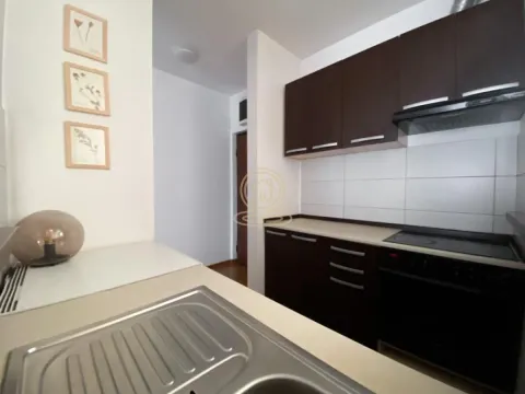 Izdavanje, dvosoban stan, 44m², Vračar Sve Podlokacije, Beograd - image 10