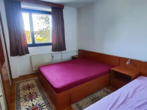 Izdavanje, dvosoban stan, 50m², Sajmište, Novi Sad - image 8