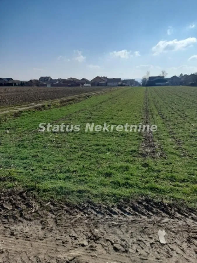 Prodaja, plac, 2500m², Futog, Novi Sad Sve Podlokacije