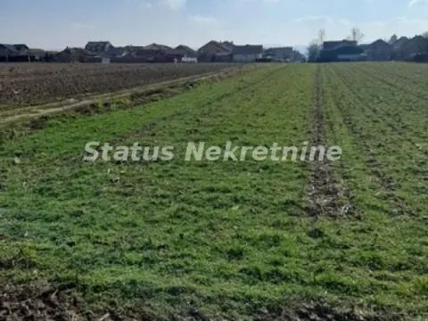 Prodaja, plac, 2500m², Futog, Novi Sad Sve Podlokacije - image 6