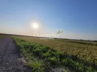 Prodaja, plac, Jakovo, Surčin - image 8