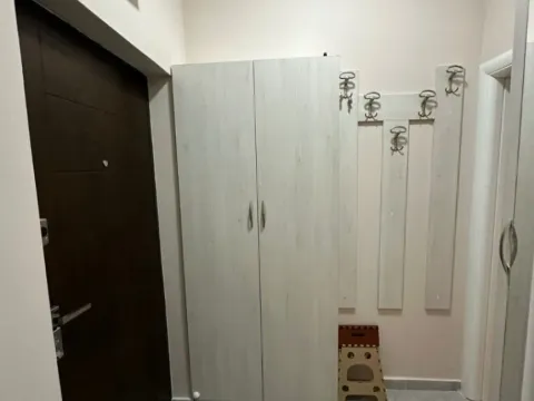 Izdavanje, jednosoban stan, 45m², Zabjelo, Podgorica - image 6