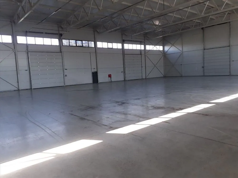 Izdavanje, poslovni prostor, 1008m², Šimanovci, Pećinci