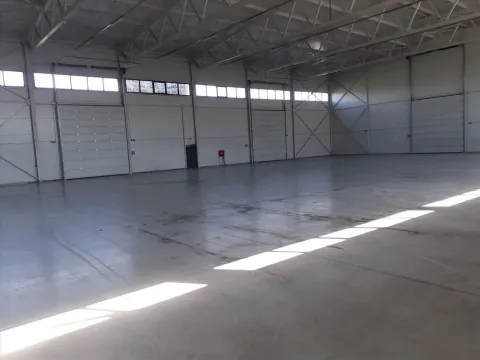 Izdavanje, poslovni prostor, 1008m², Šimanovci, Pećinci - image 2