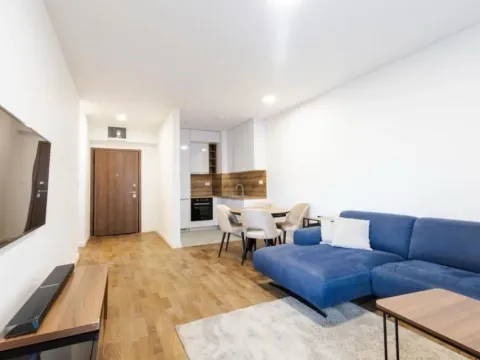 Izdavanje, jednosoban stan, 46m², Stari Aerodrom, Podgorica - image 1