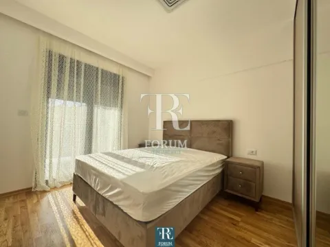 Izdavanje, jednosoban stan, 50m², Vezirov Most, Podgorica - image 8