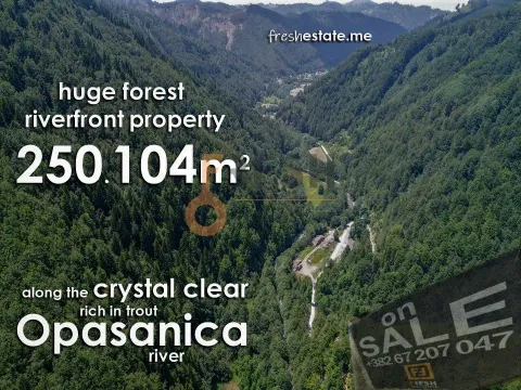 Prodaja, plac, 250104m², Ostalo, Podgorica - image 2