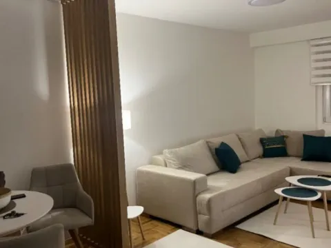 Izdavanje, jednosoban stan, 42m², Central Point, Podgorica - image 10