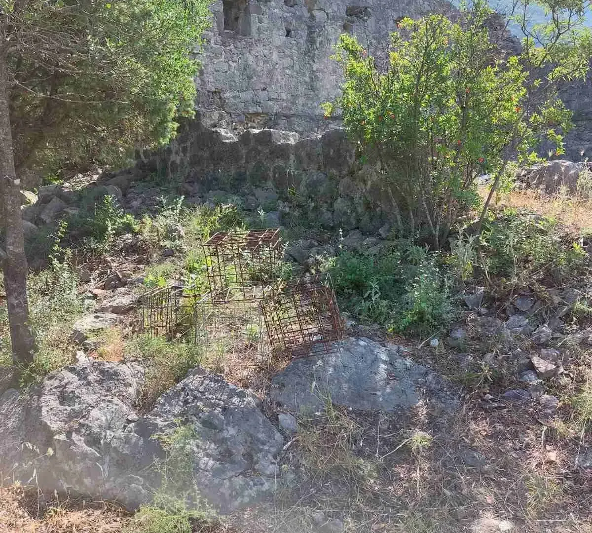 Prodaja, plac, 5000m², Bar, Crna Gora