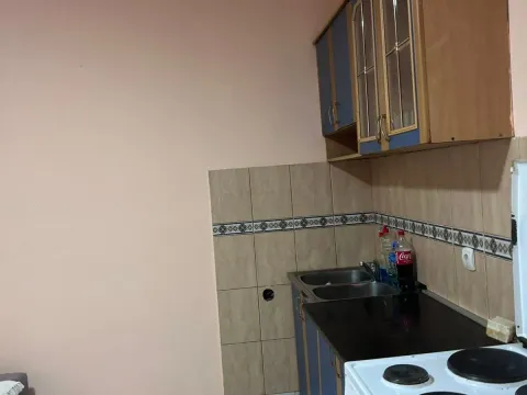 Rent, one bedroom apartment, 50m², Zagorič, Podgorica - image 3