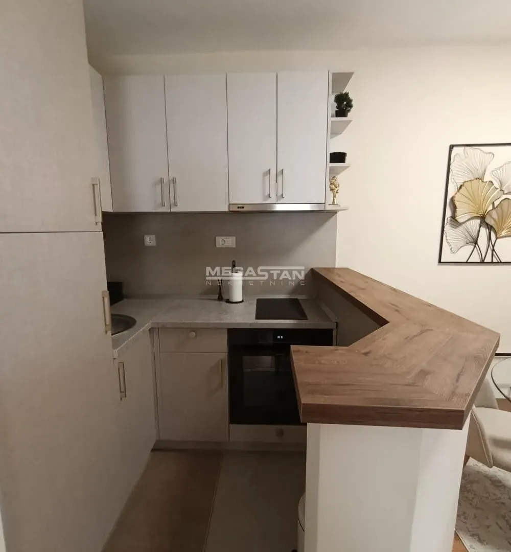 Rent, two bedroom apartment, 54m², Vračar Hram, Vračar Sve Podlokacije