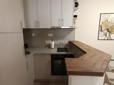 Rent, two bedroom apartment, 54m², Vračar Hram, Vračar Sve Podlokacije - image 5