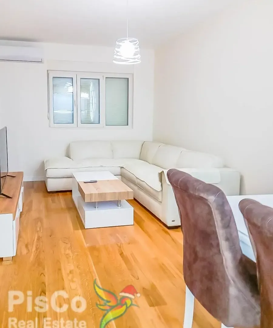 Rent, one bedroom apartment, 47m², Central Point, Podgorica