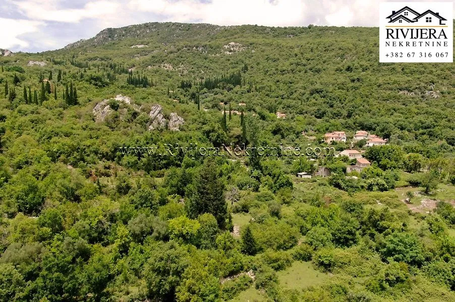 Prodaja, plac, 7325m², Mojdež, Herceg Novi