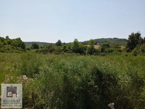 Sale, land lot, 4800m², Mala Moštanica, Obrenovac - image 2