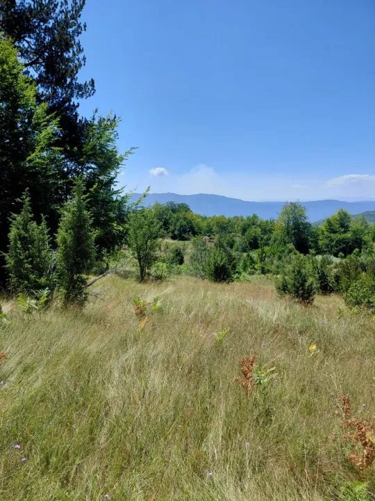 Sale, land lot, 564m², Danilovgrad, Crna Gora