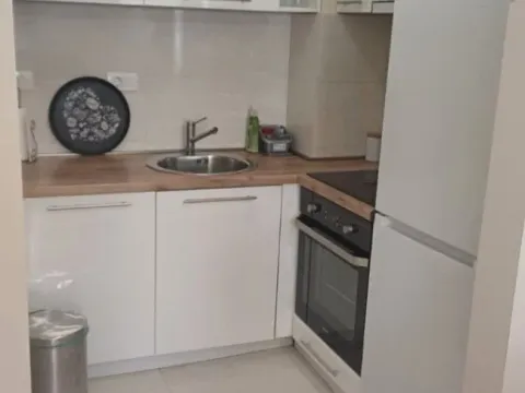 Izdavanje, jednosoban stan, 42m², Central Point, Podgorica