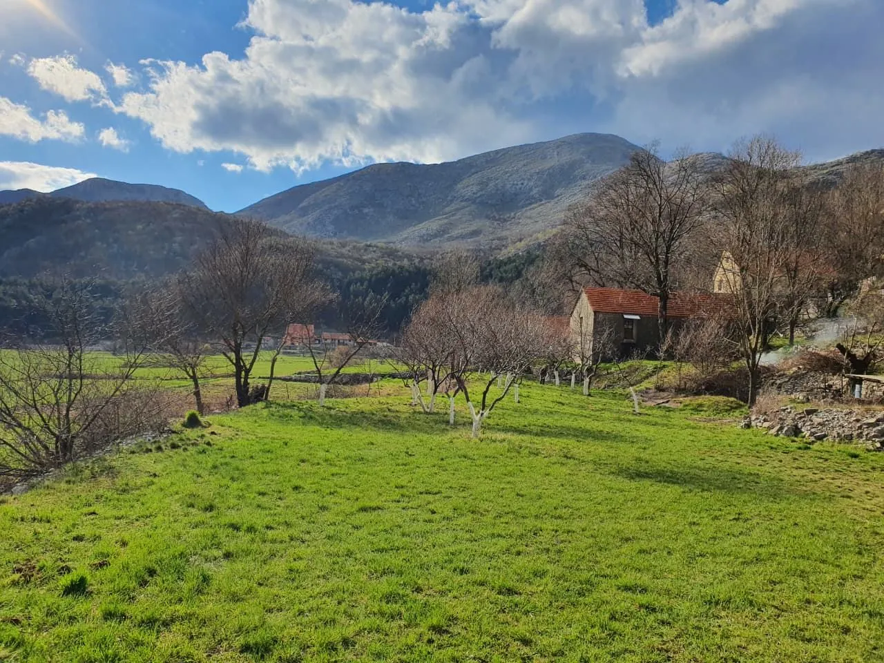 Prodaja, plac, 6000m², Njeguši, Cetinje