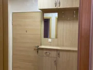 Izdavanje, jednosoban stan, 45m², Stari Aerodrom, Podgorica - image 4