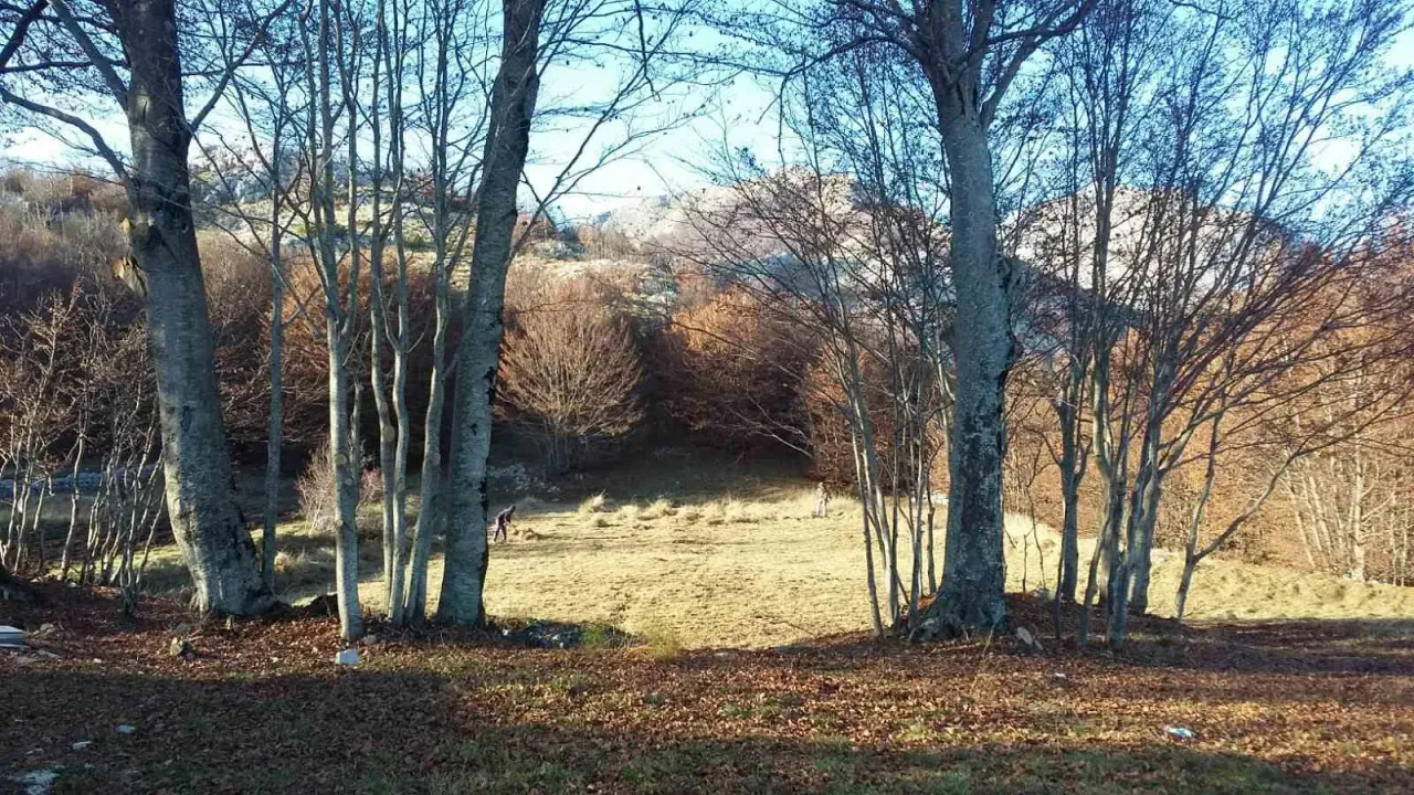 Sale, land lot, 3002m², Ivanova Korita, Cetinje