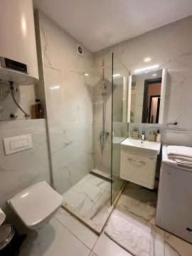 Modern bathroom with a walk-in shower, washbasin, and built-in toilet. - image 18