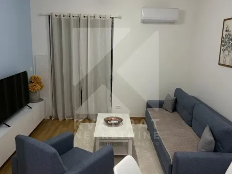 Rent, one bedroom apartment, 40m², Zabjelo, Podgorica - image 1