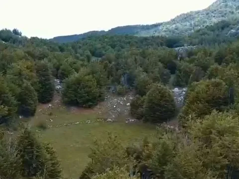 Prodaja, plac, 198000m², Cetinje, Crna Gora - image 3