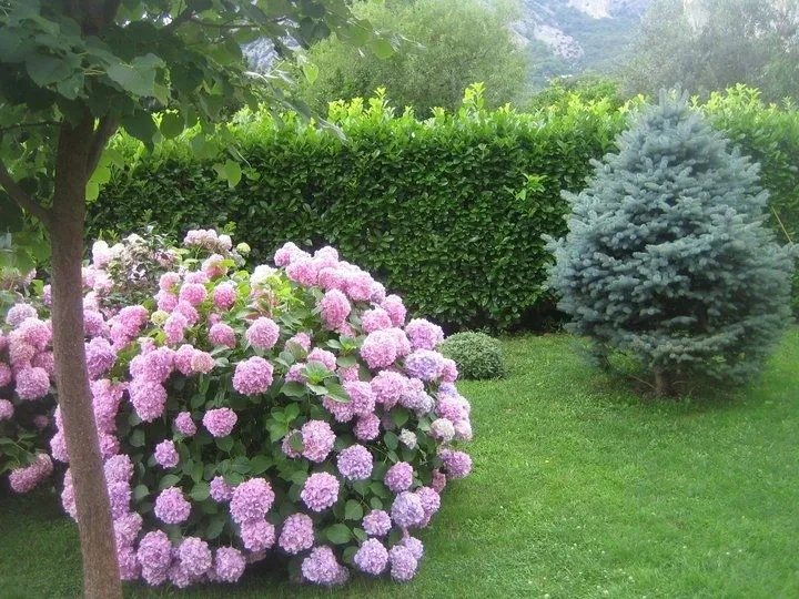 Sale, house, 300m², Orahovac, Kotor