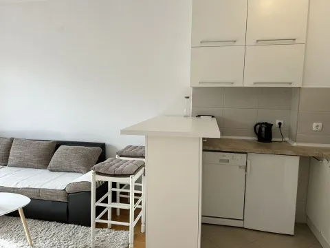 Izdavanje, jednosoban stan, 30m², Tuški Put, Podgorica - image 5