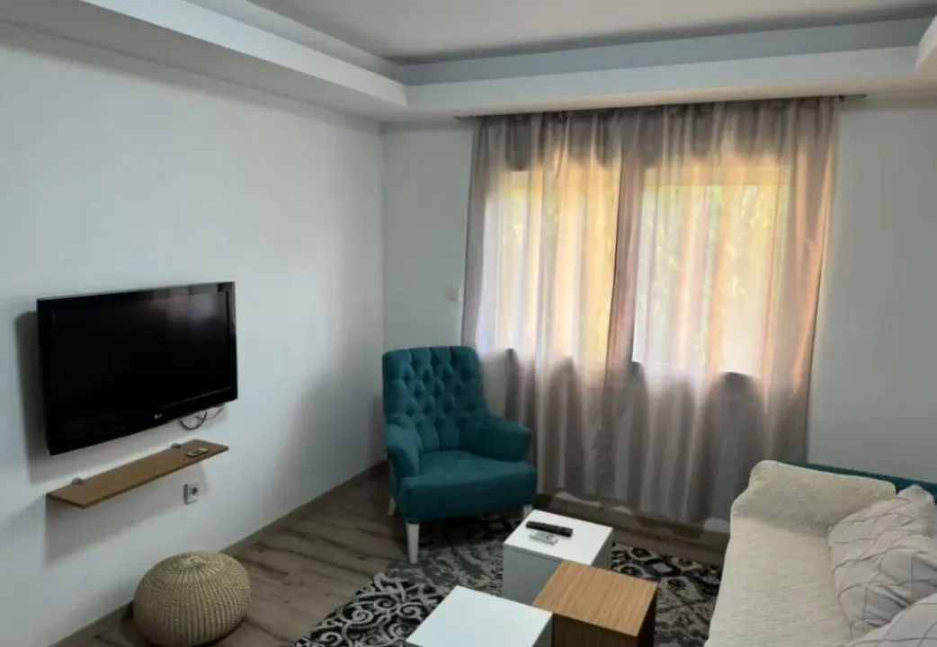 Izdavanje, jednosoban stan, 43m², Centar, Podgorica