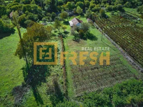 Prodaja, plac, 3891m², Danilovgrad, Crna Gora - image 12