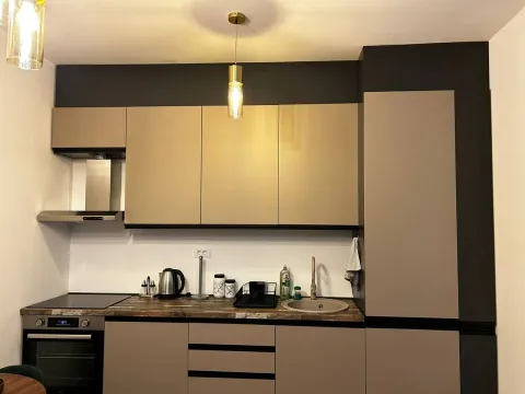 Izdavanje, jednosoban stan, Zabjelo, Podgorica - image 8