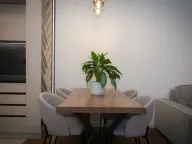 Izdavanje, jednosoban stan, 50m², Stari Aerodrom, Podgorica - image 4