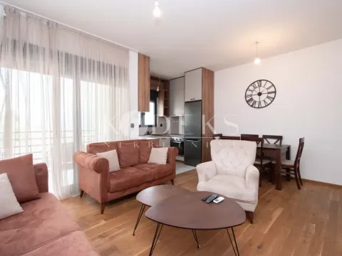 Izdavanje, jednosoban stan, 47m², Gorica C, Podgorica - image 4