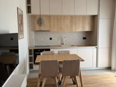 Izdavanje, jednosoban stan, 48m², Zabjelo, Podgorica - image 3