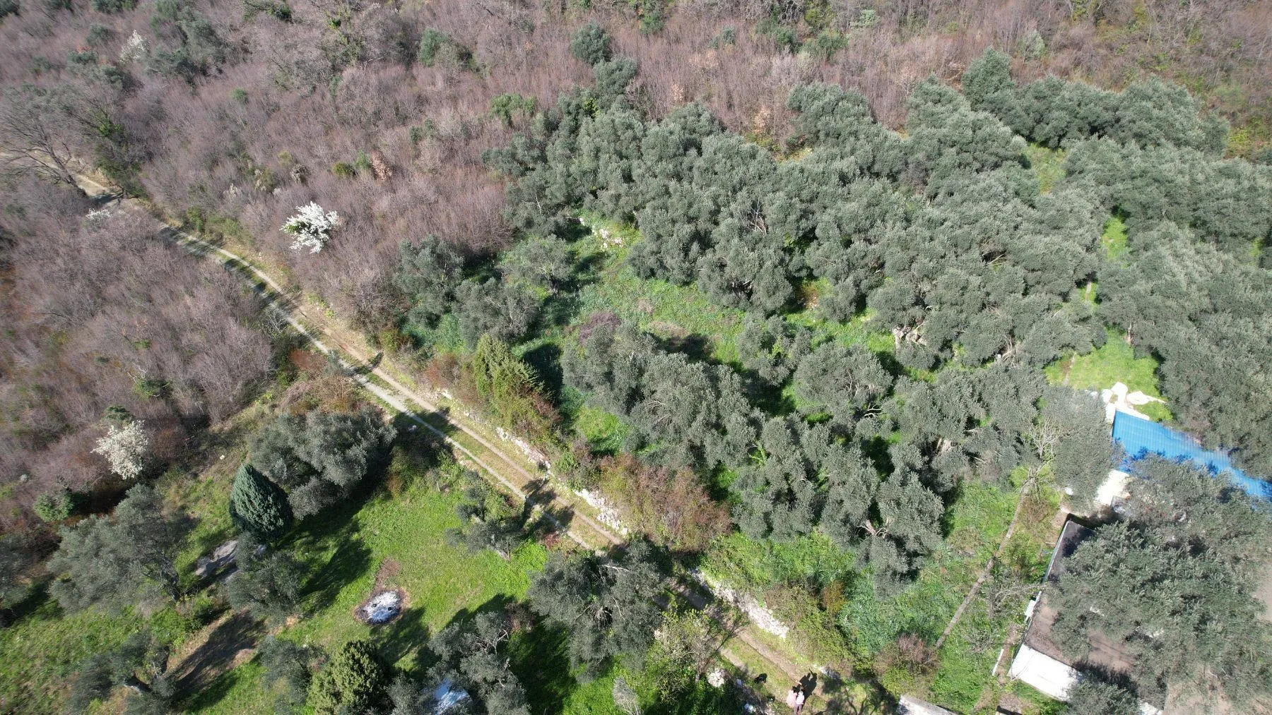Prodaja, plac, 15810m², Buljarica, Budva