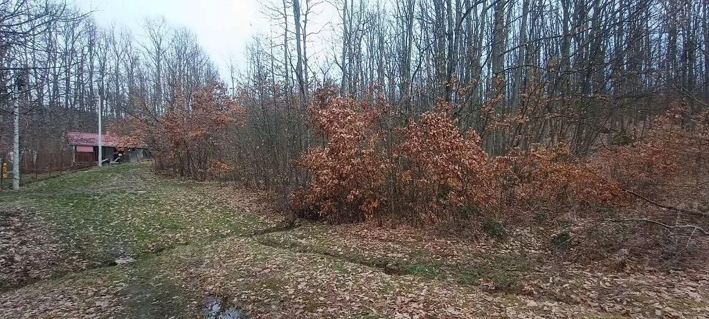 Prodaja, plac, 300m², Atomska Banja, Čačak