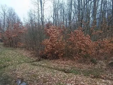 Prodaja, plac, 300m², Atomska Banja, Čačak - image 2