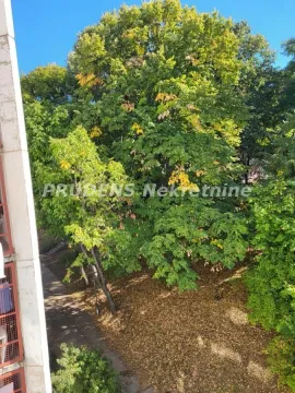 Pogled sa prozora na drveće i zelenu površinu. - image 14