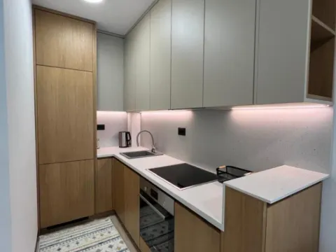 Izdavanje, jednosoban stan, 43m², Zagorič, Podgorica - image 4