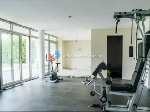 Izdavanje, kuća, 560m², Veliki Mokri Lug, Zvezdara Sve Podlokacije - image 31