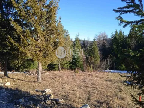 Sale, land lot, 1100m², Tara, Srbija - image 11