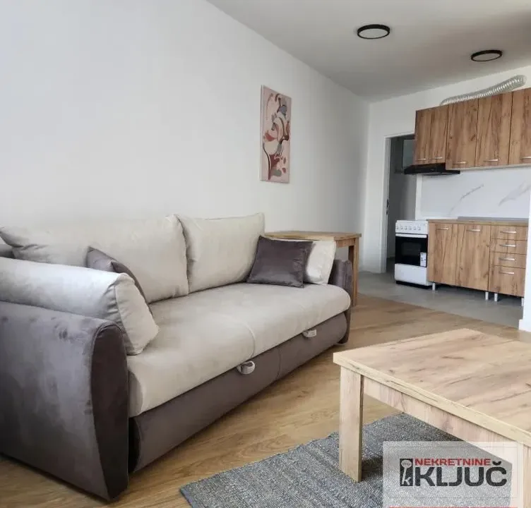 Izdavanje, jednosoban stan, 48m², Bulevar patrijarha Pavla, Novi Sad Sve Podlokacije