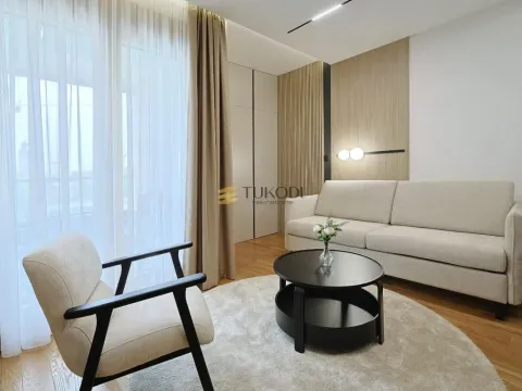 Izdavanje, jednosoban stan, 35m², Novi Beograd Blok 65, Novi Beograd Sve Podlokacije - image 13