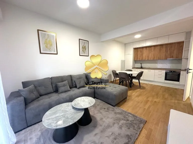 Rent, one bedroom apartment, 46m², Podgorica, Crna Gora