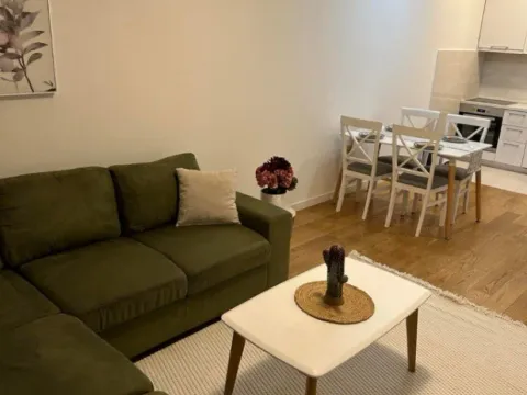 Izdavanje, jednosoban stan, 49m², Central Point, Podgorica - image 4