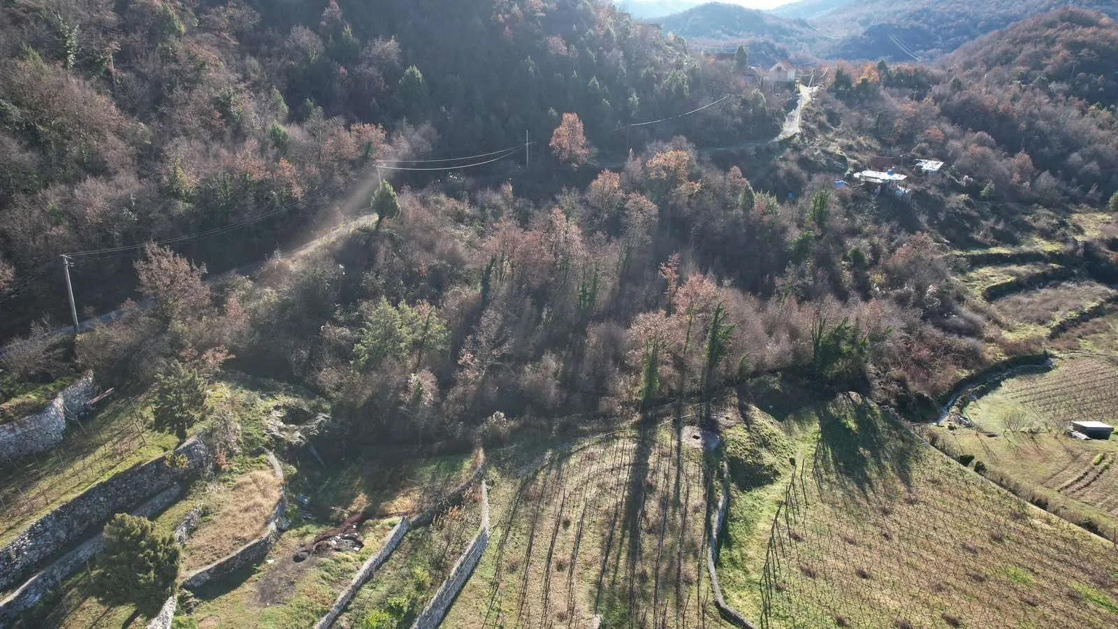 Prodaja, plac, 4400m², Cetinje, Crna Gora
