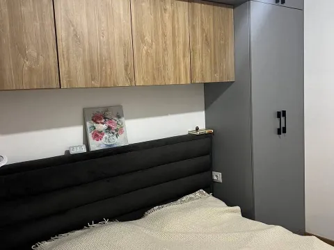 Izdavanje, jednosoban stan, 49m², Stari Aerodrom, Podgorica - image 5